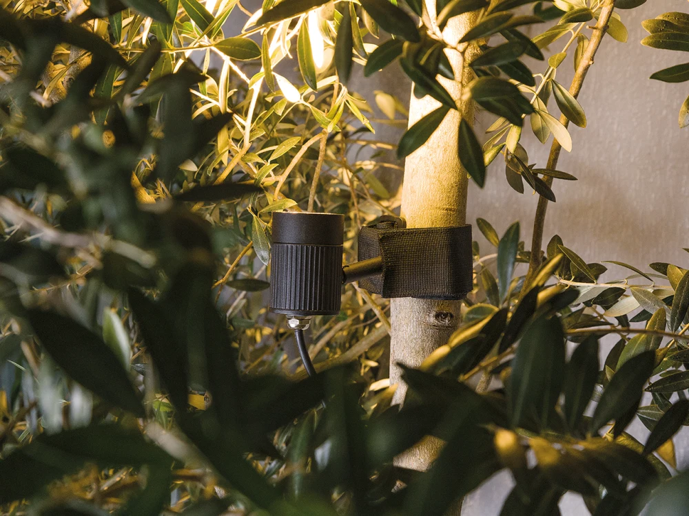 Spots Focco instalados em uma árvore iluminando a vegetação